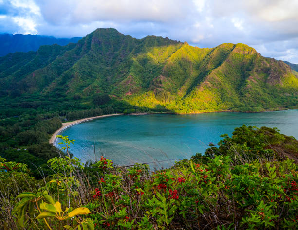 RT Dallas to Oahu Hawaii or Vice Versa $371 Airfares on United Airlines BE (Travel August - December 2025)
