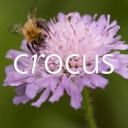 Crocus – Cashback, Rebates & Rewards