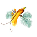 Native Vanilla