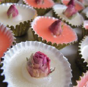 From Nature with Love – Cashback, Rebates & Rewards