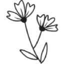Flowercard UK – Cashback, Rebates & Rewards