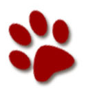 For the Love of Dogs – Cashback, Rebates & Rewards