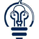 Top Bulb