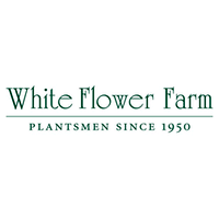  White Flower Farm – Coupons, Promo Codes & Special Offers (14)