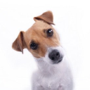 Pup Life – Cashback, Rebates & Rewards