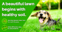 Nature's Lawn