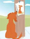  Lost My Doggie – Coupons, Promo Codes & Special Offers (1)