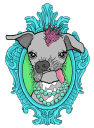 Glamour Mutt – Cashback, Rebates & Rewards