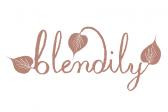 Blendily (US) – Cashback, Rebates & Rewards