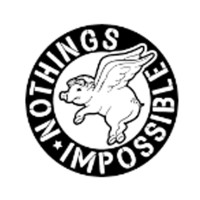 Nothing's Impossible