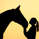 Horse Tack Company – Cashback, Rebates & Rewards