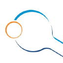 Megaspin.net