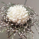 Anthemion Flowers – Cashback, Rebates & Rewards