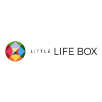 Little Life Box