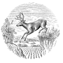 Stags Leap – Cashback, Rebates & Rewards