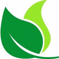 Quality Silk Plants