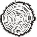  Carved – Coupons, Promo Codes & Special Offers (6)