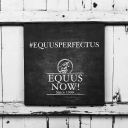 Equus Now! – Cashback, Rebates & Rewards