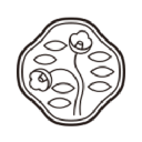 Shiseido Canada