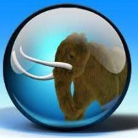Math Mammoth