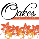 Oakes Daylilies