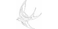 Bird of Flight – Cashback, Rebates & Rewards