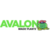 Avalonmagicplants
