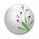 Prairie Moon Nursery