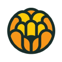 teadora
