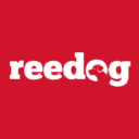 Reedog Europe
