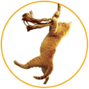 Save the Cat! – Cashback, Rebates & Rewards