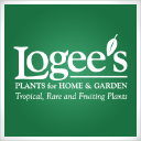 Logees Tropical Plants