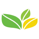 The Green Office