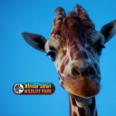 African Safari Wildlife Park – Cashback, Rebates & Rewards