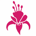 Fuchsia – Cashback, Rebates & Rewards