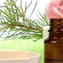 Wellington Fragrance