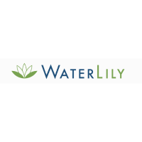 Waterlily