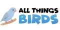  All Things Birds – Coupons, Promo Codes & Special Offers (0)