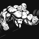 Primal Muscle Sport Supplements