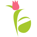  FlowerAura – Coupons, Promo Codes & Special Offers (0)