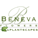 Beneva Flowers – Cashback, Rebates & Rewards