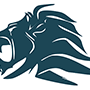 Detroit Game Gear – Cashback, Rebates & Rewards