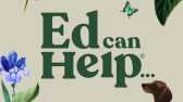  Ed can Help – Coupons, Promo Codes & Special Offers (0)