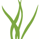  Air Plant Supply Co. – Coupons, Promo Codes & Special Offers (12)