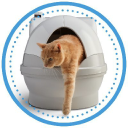  CatGenie – Coupons, Promo Codes & Special Offers (10)