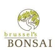 Brussel's Bonsai – Cashback, Rebates & Rewards