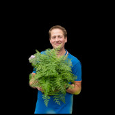 Sierplantenshop NL