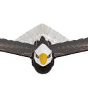 Go Go Bird