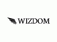 Wizdom LLC