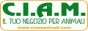 CIAM IT – Cashback, Rebates & Rewards